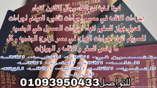 محامى احوال شخصية