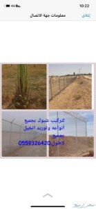 تركيب شبوك وتوريد نخيل