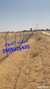 تركيب شبوك وتوريد نخيل 0559326420