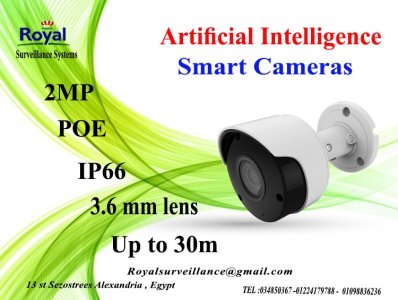 أحدث كاميرات مراقبة الخارجية الذكية2 MP