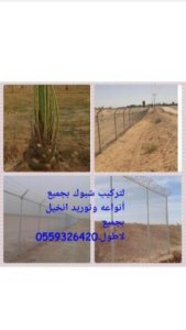 تركيب شبوك وتوريد نخيل