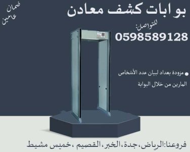 بوابة كشف عن المعادن