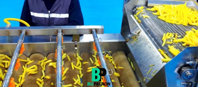 خط انتاج البطاطا