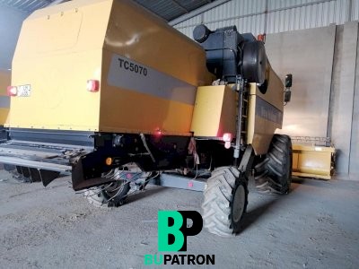 حاصوده نيو هولاند