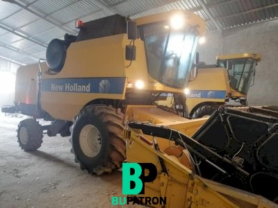 حاصوده نيو هولاند