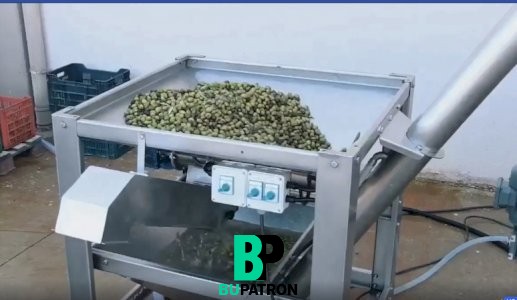 خط انتاج عصر الزيتون بالطريقه البارده