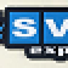 Sva